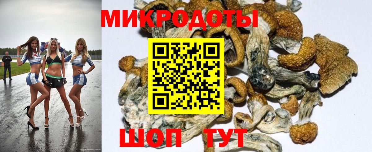 Псилоцибиновые грибы Cubensis Одинцово